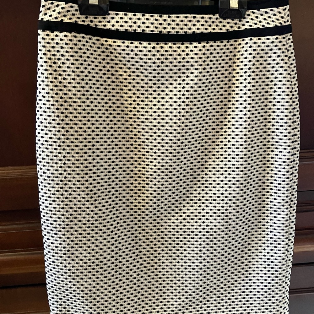 Calvin Klein Black and White A-Line Skirt
